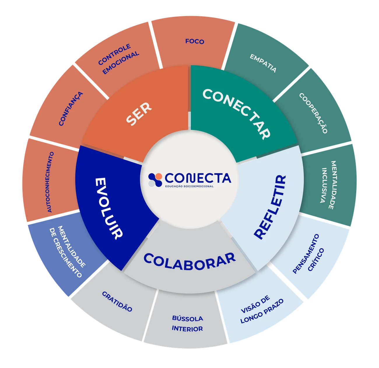 Mandala de competências e habilidades da Conecta